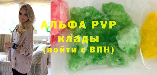 крисы Елабуга