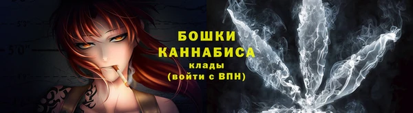 прущие крисы Ельня