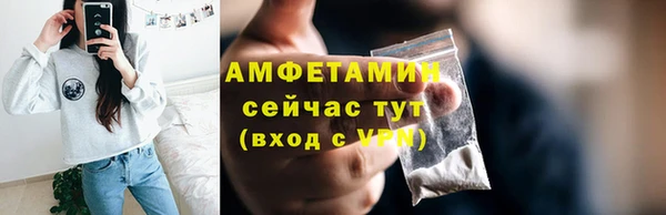 крисы Елабуга