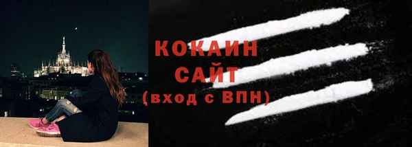 прущие крисы Ельня