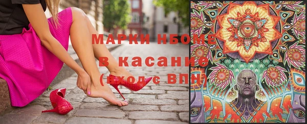 mdpv Елизово