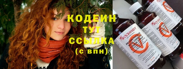 прущие крисы Ельня