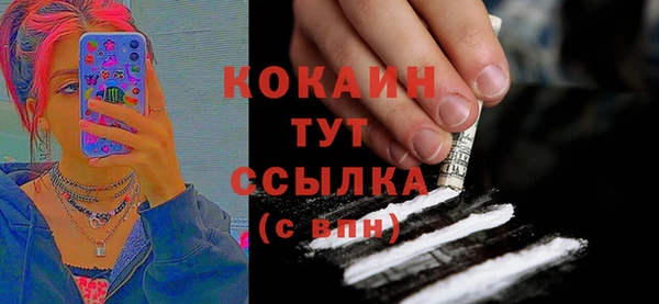прущие крисы Ельня